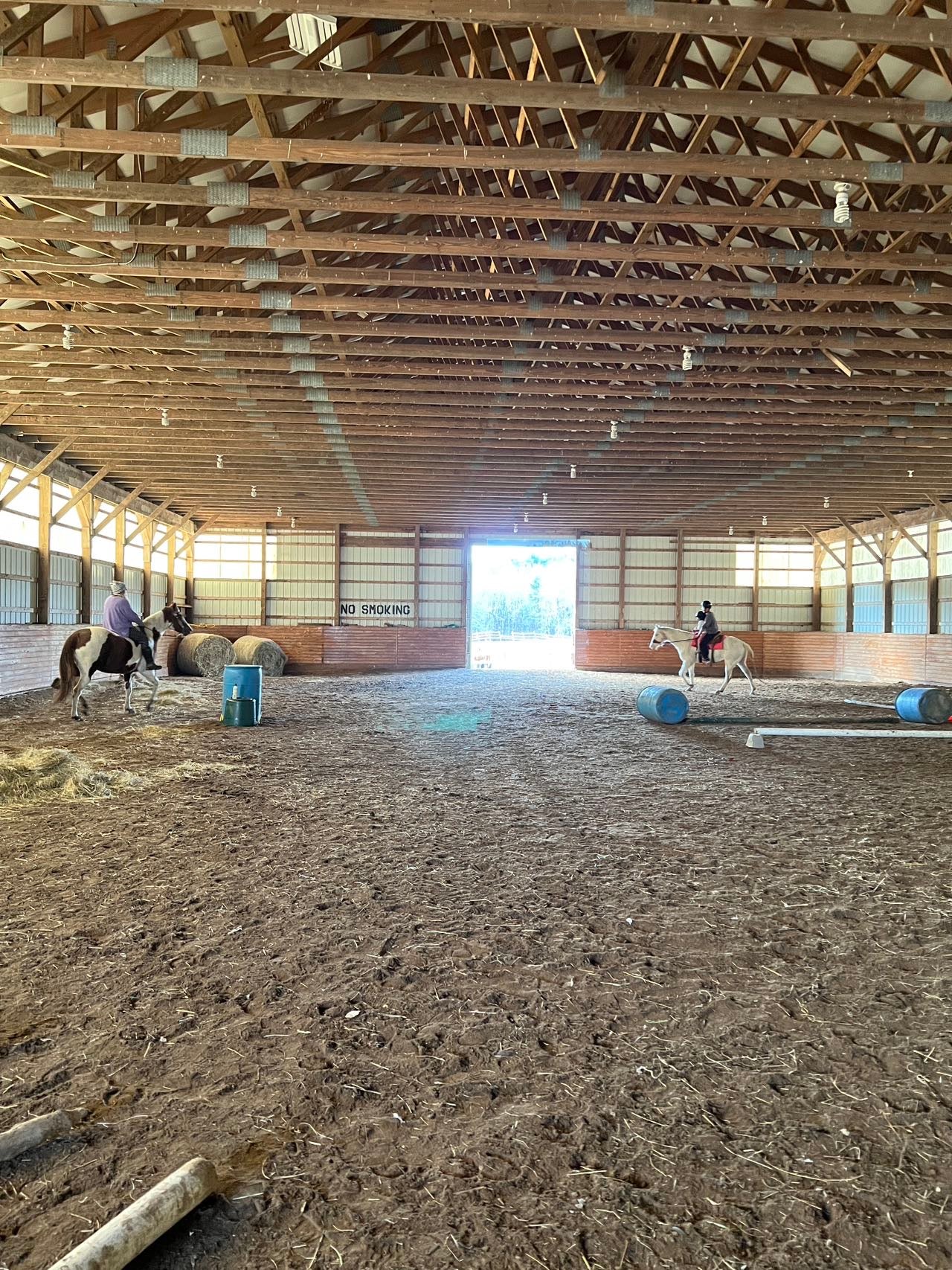 45 Minutes Horse Therapeutic Riding Lessons