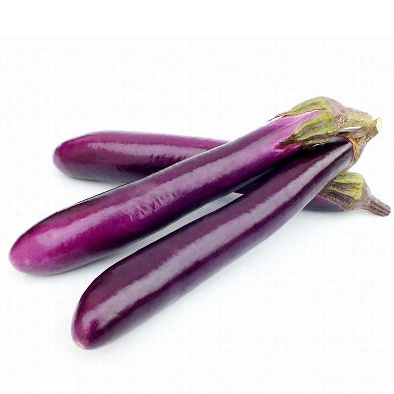 Eggplant- Chinese long eggplant